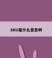 SKU是什么意思啊