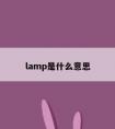 lamp是什么意思