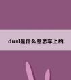 dual是什么意思车上的