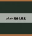 picnic是什么意思