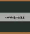 should是什么意思