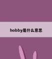 hobby是什么意思