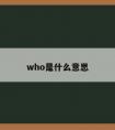 who是什么意思