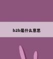 b2b是什么意思