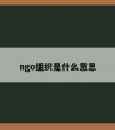 ngo组织是什么意思