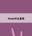 down什么意思