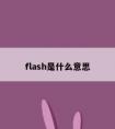 flash是什么意思