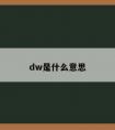 dw是什么意思