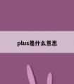 plus是什么意思