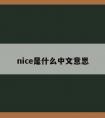 nice是什么中文意思