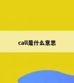 call是什么意思