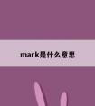 mark是什么意思