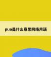 pua是什么意思网络用语