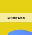 ugly是什么意思