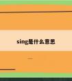 sing是什么意思