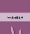 bra是啥意思呀