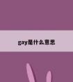 gay是什么意思