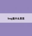 bug是什么意思