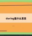 during是什么意思