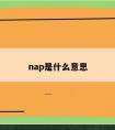 nap是什么意思