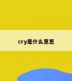 cry是什么意思