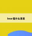 bear是什么意思