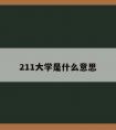 211大学是什么意思