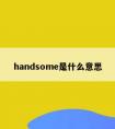 handsome是什么意思