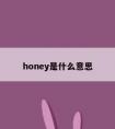 honey是什么意思