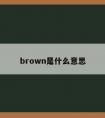 brown是什么意思