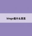 bingo是什么意思