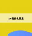 pv是什么意思