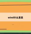 wind什么意思