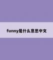 funny是什么意思中文