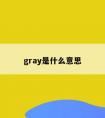 gray是什么意思