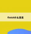 finish什么意思