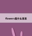 flowers是什么意思