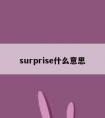 surprise什么意思