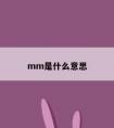 mm是什么意思