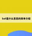 bat是什么意思的简单介绍