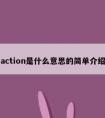 action是什么意思的简单介绍