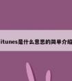 itunes是什么意思的简单介绍