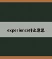 experience什么意思