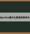 objective是什么意思的简单介绍