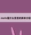 mute是什么意思的简单介绍