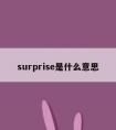 surprise是什么意思