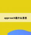 approach是什么意思