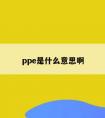 ppe是什么意思啊