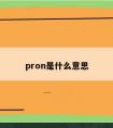 pron是什么意思