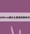 platform是什么意思的简单介绍